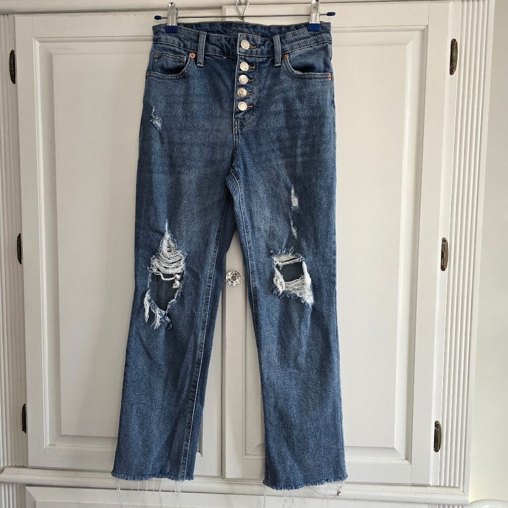 Wild Fable Ripped and Distressed Button Fly Jeans, Size 2